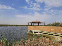 Jahra Reserve reservations full on weekends